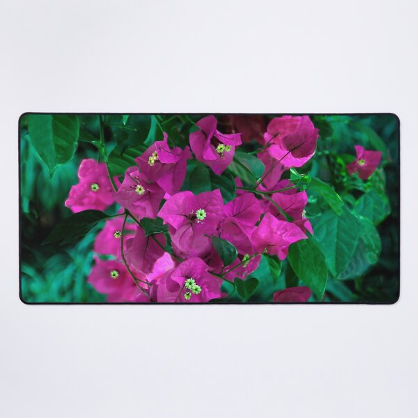 Item preview, Beautiful Bougainvillea designed and sold by heatherfriedman.