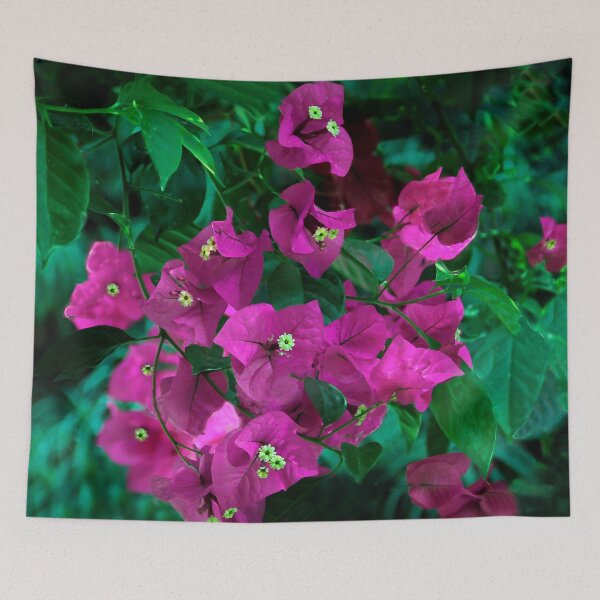 Item preview, Beautiful Bougainvillea designed and sold by heatherfriedman.