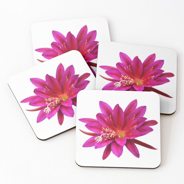 Item preview, Nature's Magnificent Creation designed and sold by heatherfriedman.
