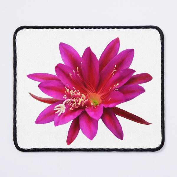 Item preview, Nature's Magnificent Creation designed and sold by heatherfriedman.