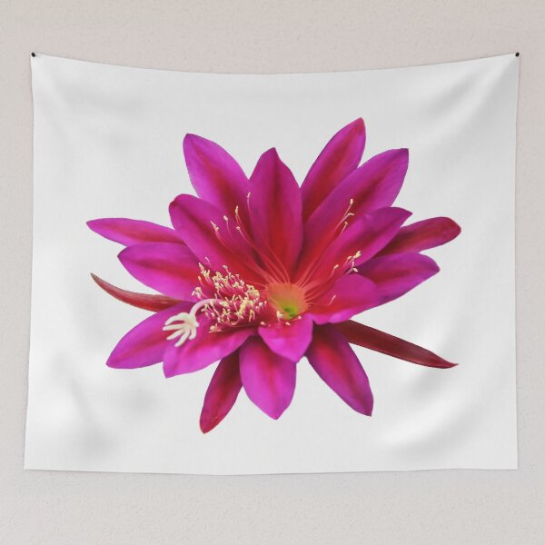 Item preview, Nature's Magnificent Creation designed and sold by heatherfriedman.