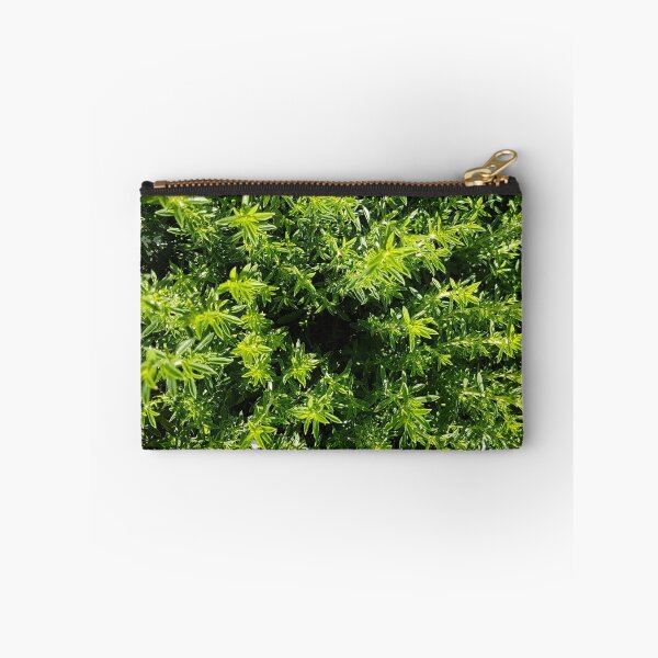 Item preview, Winter Savory Herb designed and sold by LinkFamilyStore.