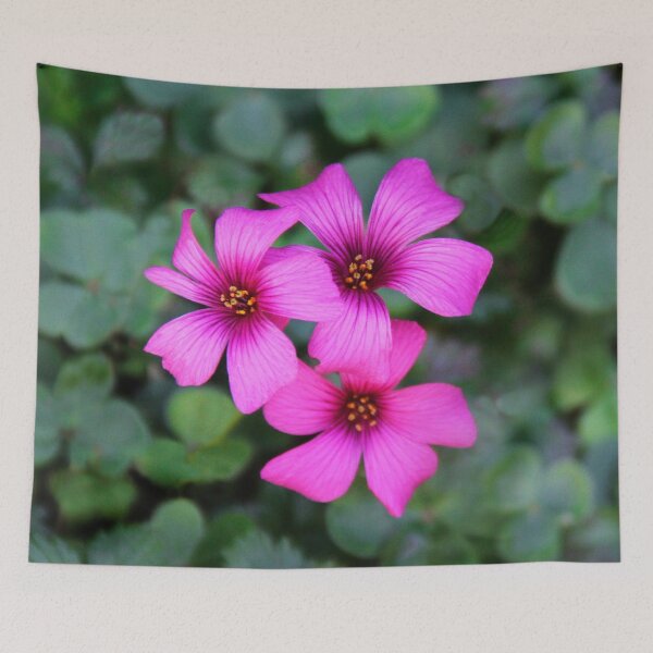 Item preview, Beauty by Nature designed and sold by heatherfriedman.