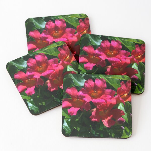 Item preview, After the Rain designed and sold by heatherfriedman.
