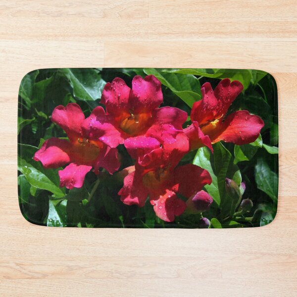 Item preview, After the Rain designed and sold by heatherfriedman.