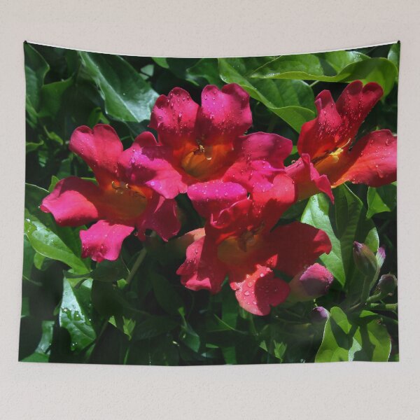Item preview, After the Rain designed and sold by heatherfriedman.