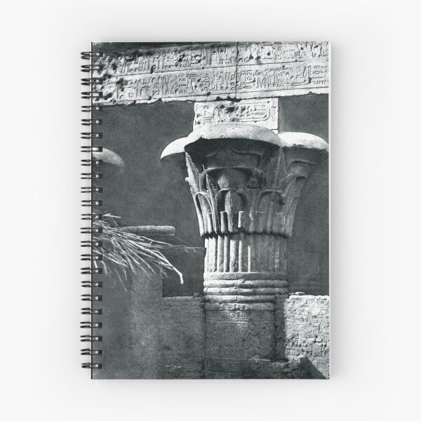 Item preview, Antique Egypt Esna Temple Félix Teynard designed and sold by WillowNox7.