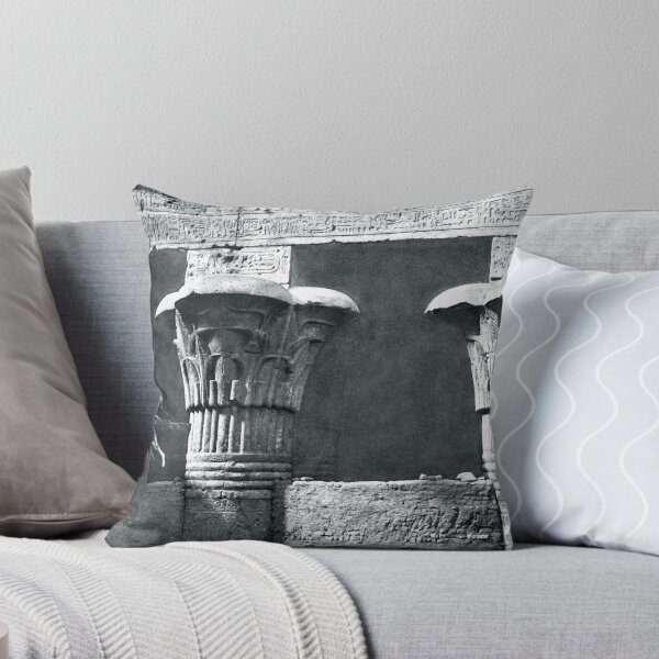 Item preview, Antique Egypt Esna Temple Félix Teynard designed and sold by WillowNox7.