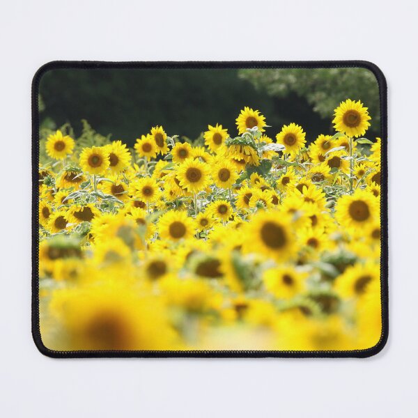 Item preview, Golden Sunflower Field in Summer Nature Photography designed and sold by locustgirl.