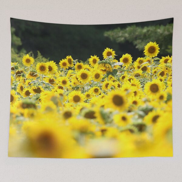 Item preview, Golden Sunflower Field in Summer Nature Photography designed and sold by locustgirl.