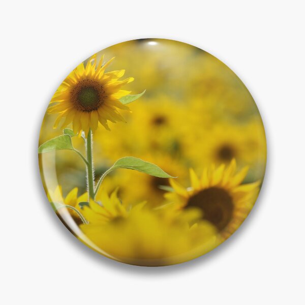 Item preview, Dreamy Sunflowers in a Golden Summer Field designed and sold by locustgirl.