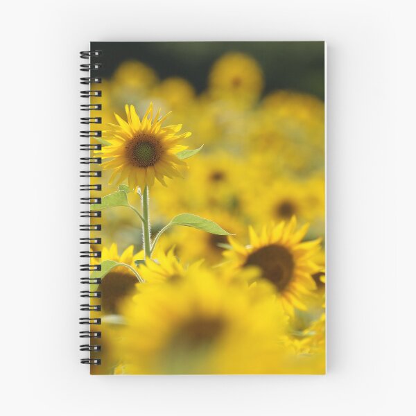 Item preview, Dreamy Sunflowers in a Golden Summer Field designed and sold by locustgirl.