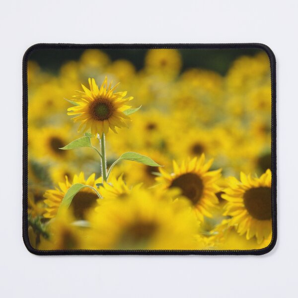 Item preview, Dreamy Sunflowers in a Golden Summer Field designed and sold by locustgirl.
