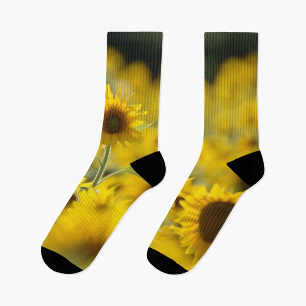 Item preview, Dreamy Sunflowers in a Golden Summer Field designed and sold by locustgirl.