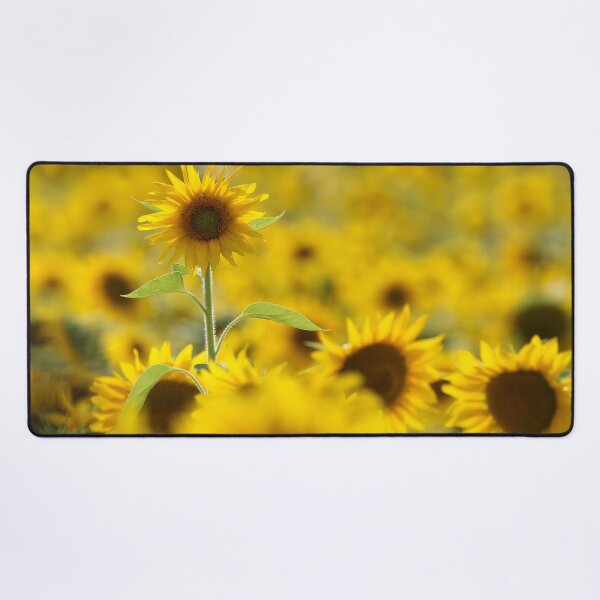 Item preview, Dreamy Sunflowers in a Golden Summer Field designed and sold by locustgirl.