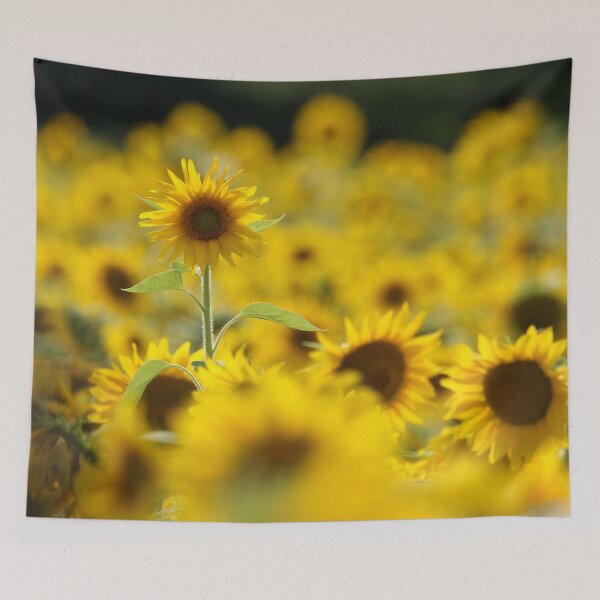 Item preview, Dreamy Sunflowers in a Golden Summer Field designed and sold by locustgirl.