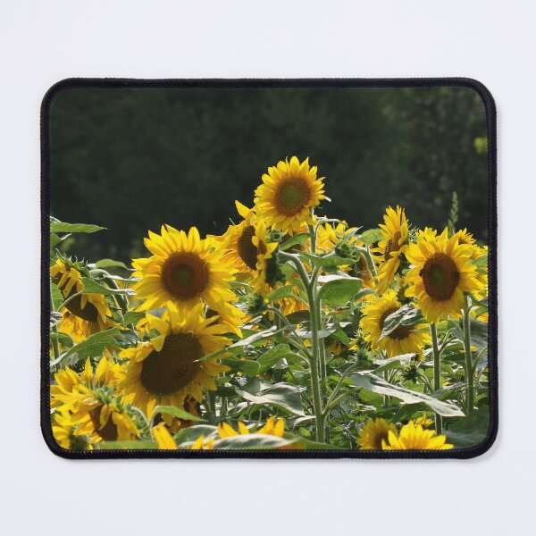 Item preview, Sunflower Meadow designed and sold by locustgirl.