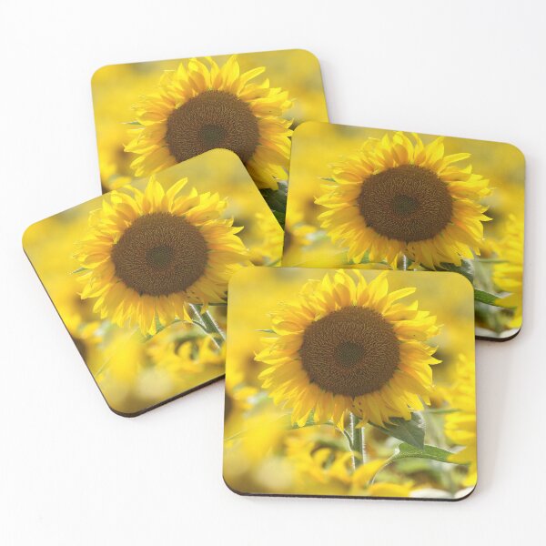 Item preview, Golden Sunflower in Summer Sunshine Photography designed and sold by locustgirl.