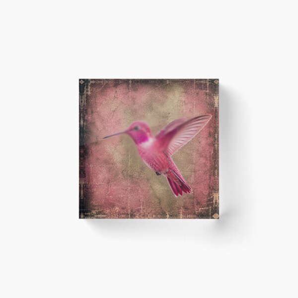 Item preview, Pink Hummingbird  designed and sold by PITBULLEE.