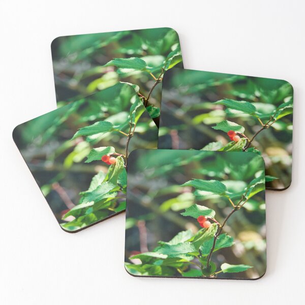 Item preview, Berries by PCT trail  designed and sold by RustyKiester.