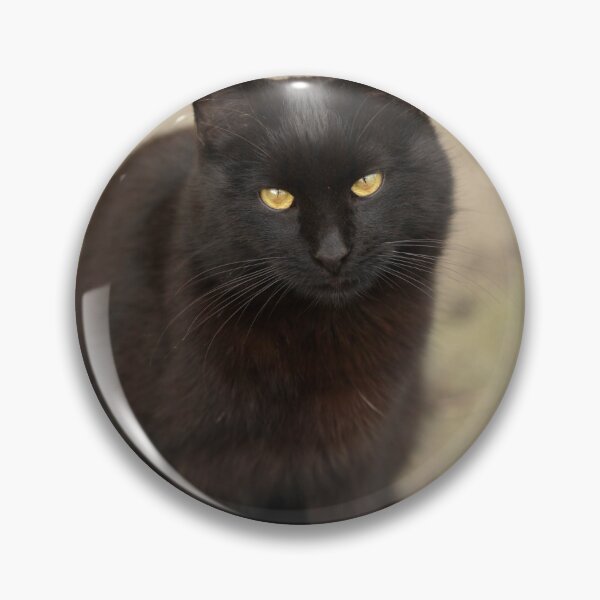 Item preview, Portrait of cute black cat designed and sold by olena2552.