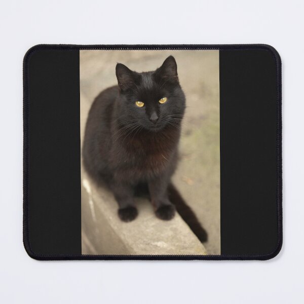 Item preview, Portrait of cute black cat designed and sold by olena2552.