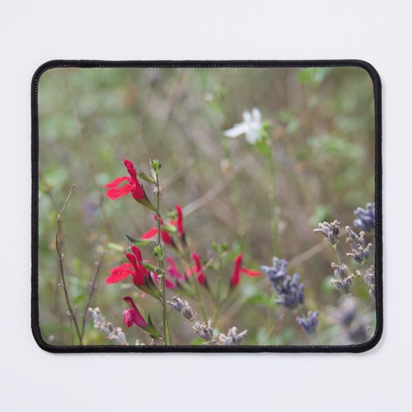Item preview, Late season lavender and firecracker  designed and sold by RustyKiester.