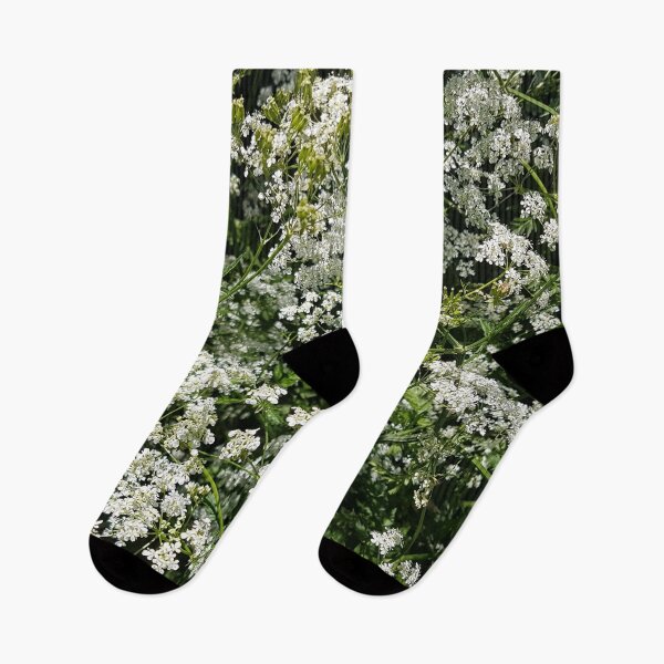 Item preview, Anthriscus sylvestris, wild chervil photo designed and sold by LinkFamilyStore.