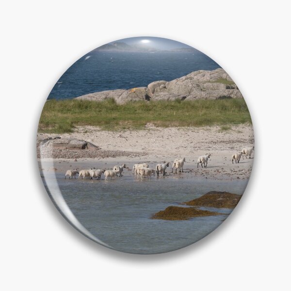 Item preview, Beach Sheep designed and sold by RedGrouse.