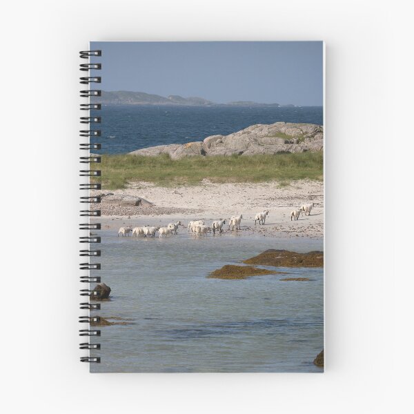 Item preview, Beach Sheep designed and sold by RedGrouse.