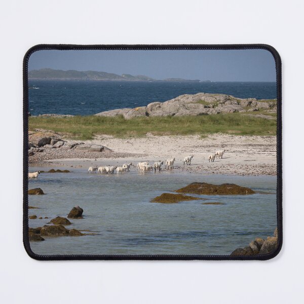 Item preview, Beach Sheep designed and sold by RedGrouse.