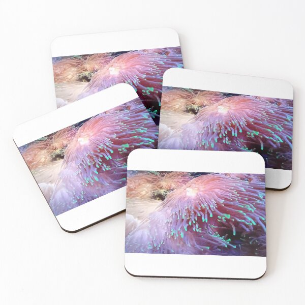 Item preview, Sea Aenomies, bioluminesence designed and sold by Am Fear Liath Mòr Designs.