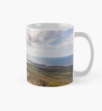 View over Akranes Mug