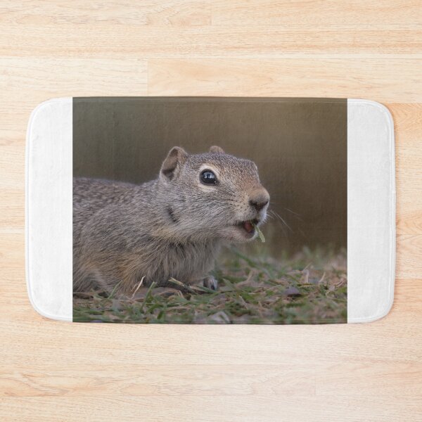 Item preview, Close-up Portrait of a Ground Squirrel designed and sold by Picture1Perfect.