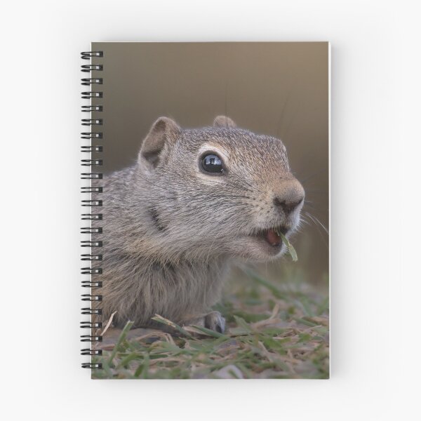 Item preview, Close-up Portrait of a Ground Squirrel designed and sold by Picture1Perfect.
