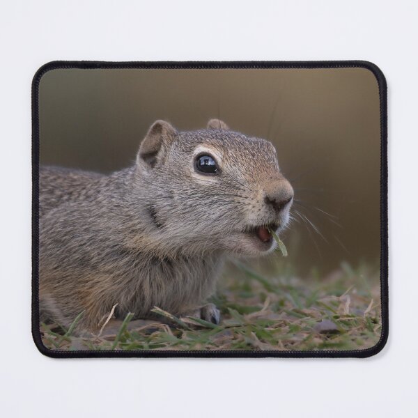 Item preview, Close-up Portrait of a Ground Squirrel designed and sold by Picture1Perfect.