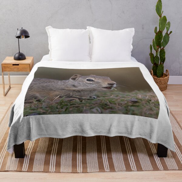 Item preview, Close-up Portrait of a Ground Squirrel designed and sold by Picture1Perfect.