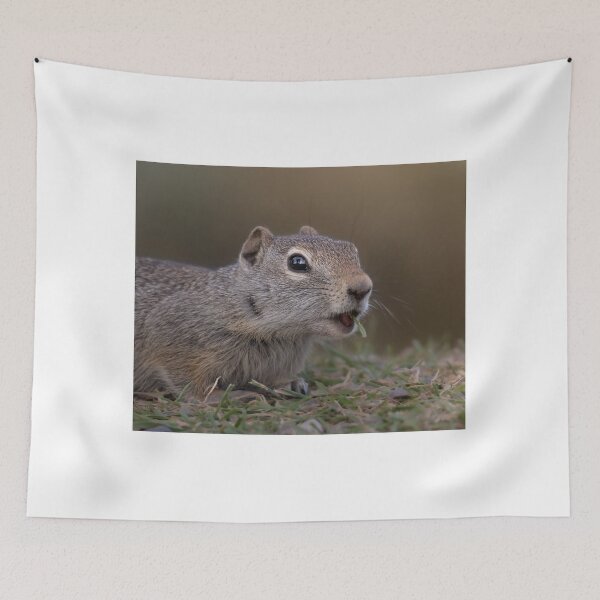 Item preview, Close-up Portrait of a Ground Squirrel designed and sold by Picture1Perfect.