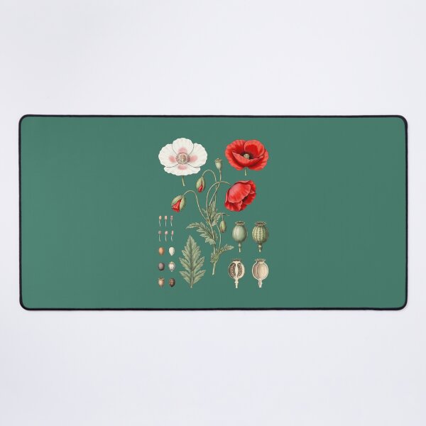 Item preview, Vintage Poppy Botanical Chart – Red and White Poppies Floral Illustration designed and sold by MyHappyArtShop.