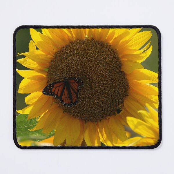 Item preview, Monarch Morning on the Sunflowers designed and sold by locustgirl.