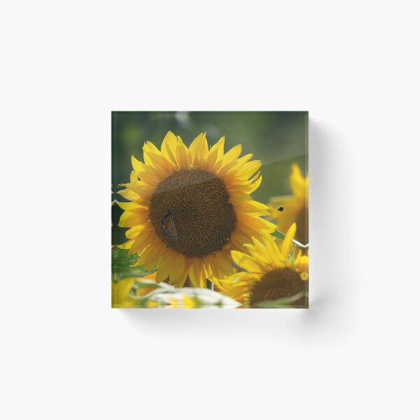 Item preview, The Sunflower Gathering designed and sold by locustgirl.