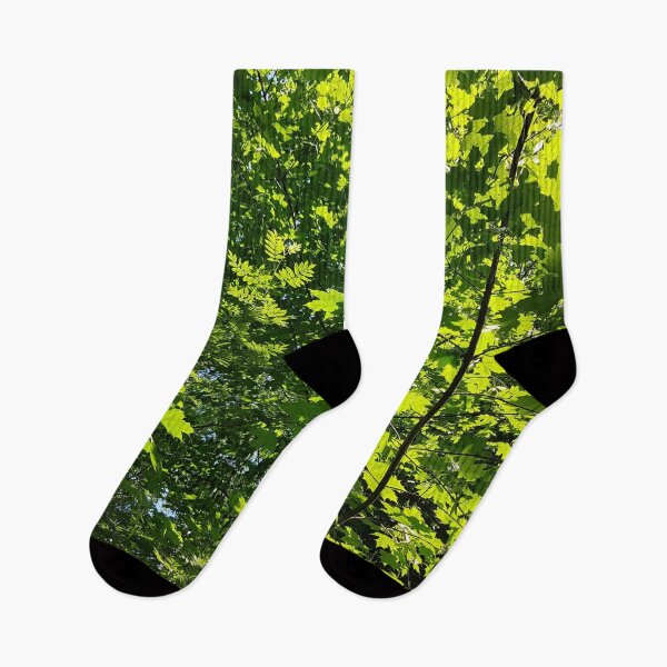 Artikelvorschau, Grüne Bäume im Wald an einem sonnigen Tag entworfen und verkauft von LinkFamilyStore.
