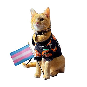 Artwork thumbnail, Trans Pride Clem by clementinewinks