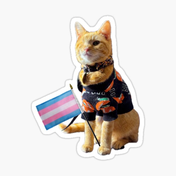 Item preview, Orgullo trans Clem designed and sold by clementinewinks.