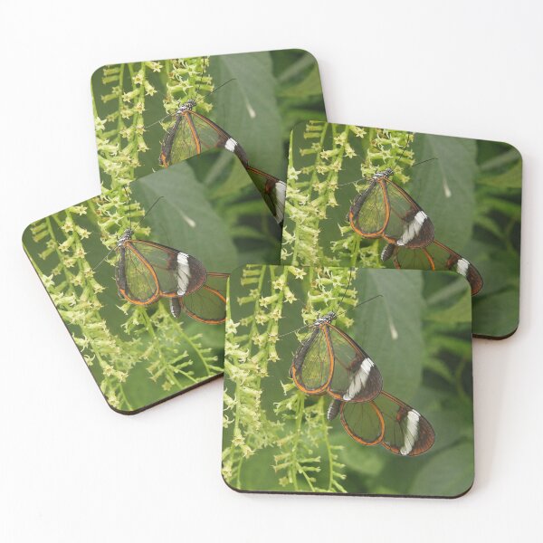Item preview, Glasswing Butterfly on Green Floral Tendrils designed and sold by Astute-Artio-Photography.