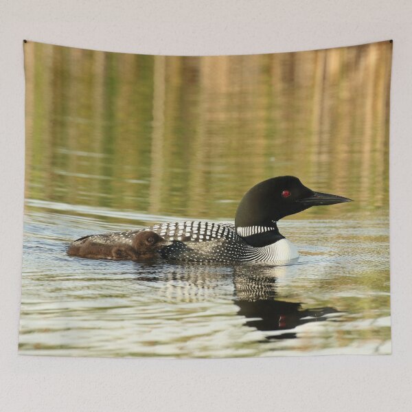 Item preview, Mother loon and baby  designed and sold by locustgirl.