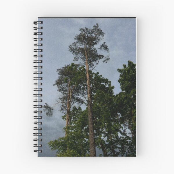 Item preview, looking up at trees and a grey sky (edinburgh, scotland) (may 2026) designed and sold by photosbykel.