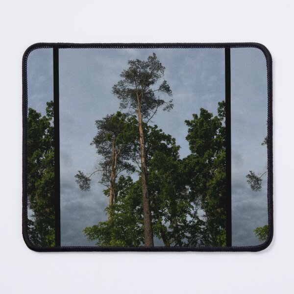 Item preview, looking up at trees and a grey sky (edinburgh, scotland) (may 2026) designed and sold by photosbykel.