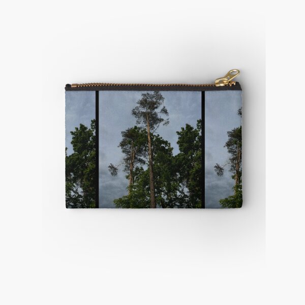 Item preview, looking up at trees and a grey sky (edinburgh, scotland) (may 2026) designed and sold by photosbykel.
