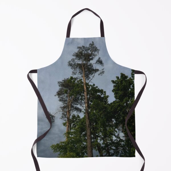 Item preview, looking up at trees and a grey sky (edinburgh, scotland) (may 2026) designed and sold by photosbykel.